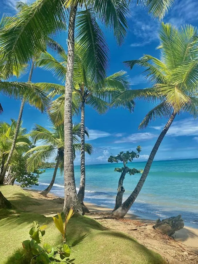 Aligio Luxury Apart-Hotel Las Terrenas Apartment